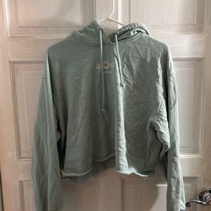 Hollister large crop hoodie